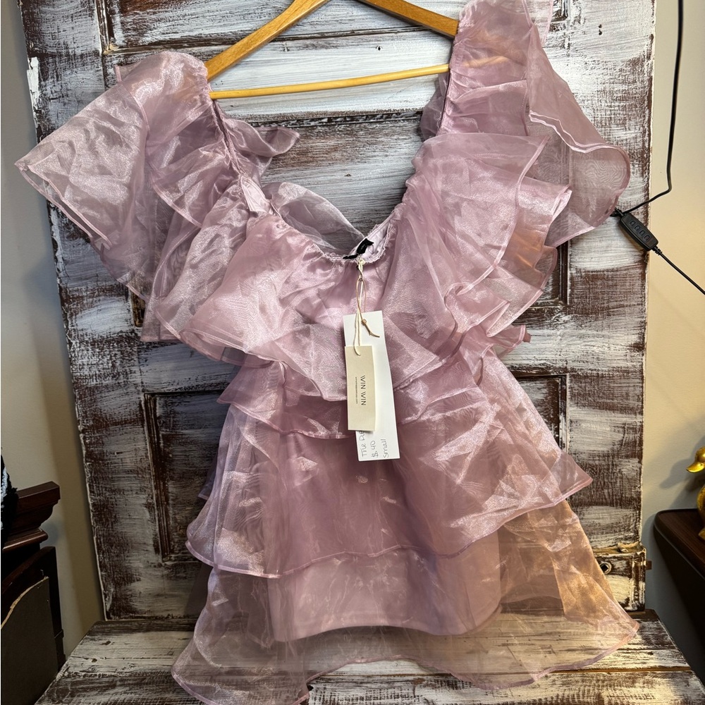 WinWin Sheer Ruffle Mini Dress in Dusty Pink